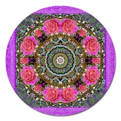 Roses In A Color Cascade Of Freedom And Peace Magnet 5  (round) by pepitasart