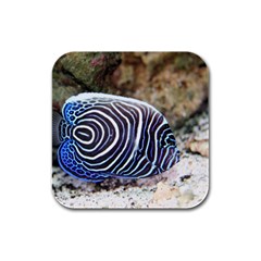 Angelfish 3 Rubber Square Coaster (4 Pack)  by trendistuff