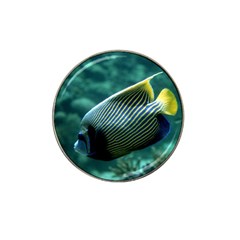 Angelfish 4 Hat Clip Ball Marker by trendistuff