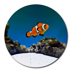 Clownfish 1 Round Mousepads by trendistuff