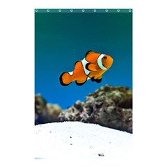 Clownfish 1 Shower Curtain 48  X 72  (small)  by trendistuff