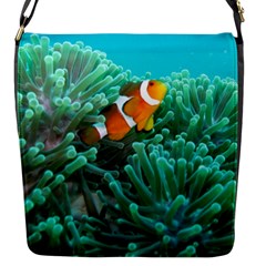 Clownfish 3 Flap Messenger Bag (s) by trendistuff