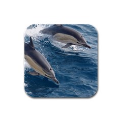 Dolphin 4 Rubber Square Coaster (4 Pack)  by trendistuff