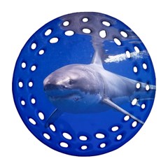 Great White Shark 4 Ornament (round Filigree) by trendistuff
