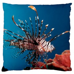 Lionfish 1 Large Cushion Case (two Sides) by trendistuff