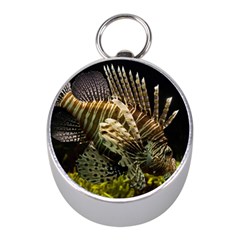 Lionfish 3 Mini Silver Compasses by trendistuff