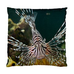 Lionfish 4 Standard Cushion Case (one Side) by trendistuff