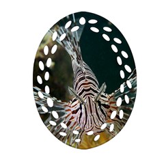 Lionfish 4 Ornament (oval Filigree) by trendistuff