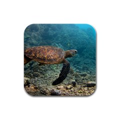 Sea Turtle 3 Rubber Square Coaster (4 Pack)  by trendistuff
