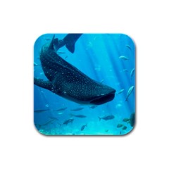 Whale Shark 2 Rubber Square Coaster (4 Pack)  by trendistuff