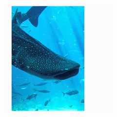 Whale Shark 2 Small Garden Flag (two Sides) by trendistuff