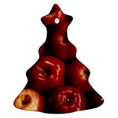 Apples 2 Ornament (christmas Tree)  by trendistuff