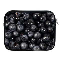Blueberries 1 Apple Ipad 2/3/4 Zipper Cases by trendistuff