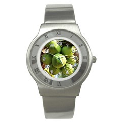 Coconuts 1 Stainless Steel Watch by trendistuff