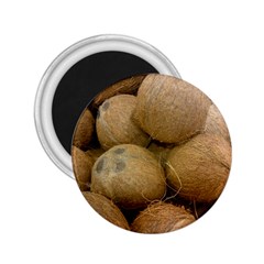 Coconuts 2 2 25  Magnets by trendistuff