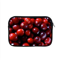 Cranberries 1 Apple Macbook Pro 15  Zipper Case by trendistuff