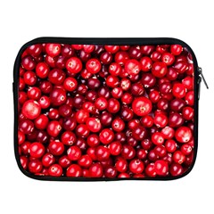 Cranberries 2 Apple Ipad 2/3/4 Zipper Cases by trendistuff