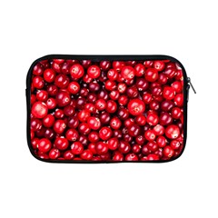 Cranberries 2 Apple Ipad Mini Zipper Cases by trendistuff