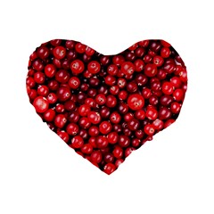 Cranberries 2 Standard 16  Premium Flano Heart Shape Cushions by trendistuff