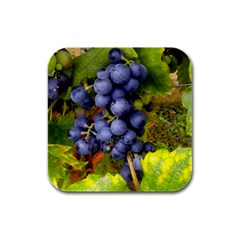 Grapes 1 Rubber Square Coaster (4 Pack)  by trendistuff