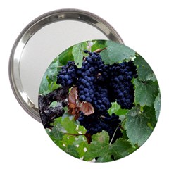 Grapes 3 3  Handbag Mirrors by trendistuff