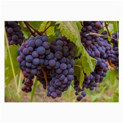 Grapes 4 Large Glasses Cloth (2-side) by trendistuff
