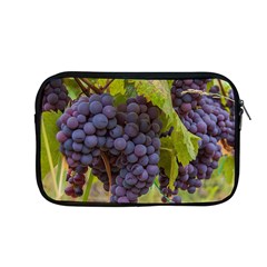 Grapes 4 Apple Macbook Pro 13  Zipper Case by trendistuff