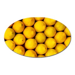 Lemons 2 Oval Magnet by trendistuff