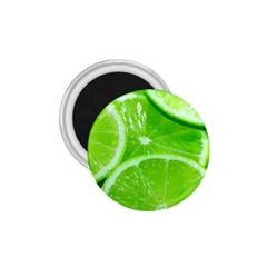 Limes 2 1 75  Magnets by trendistuff
