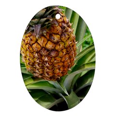Pineapple 2 Oval Ornament (two Sides) by trendistuff