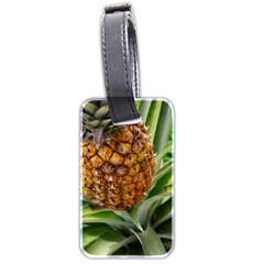 Pineapple 2 Luggage Tags (two Sides) by trendistuff