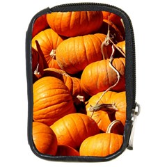 Pumpkins 3 Compact Camera Cases by trendistuff