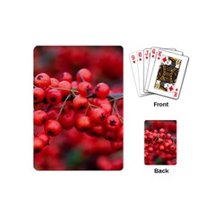 Red Berries 1 Playing Cards (mini)  by trendistuff