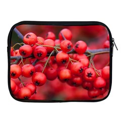 Red Berries 1 Apple Ipad 2/3/4 Zipper Cases by trendistuff