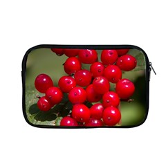Red Berries 2 Apple Macbook Pro 13  Zipper Case by trendistuff