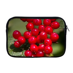 Red Berries 2 Apple Macbook Pro 17  Zipper Case by trendistuff