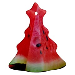 Watermelon 1 Ornament (christmas Tree)  by trendistuff