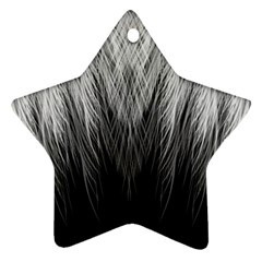 Feather Graphic Design Background Ornament (star)