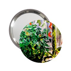 Dscf2188 -- Plant In The Room 2 25  Handbag Mirrors by bestdesignintheworld