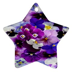 Graphic Background Pansy Easter Ornament (star) by Sapixe