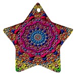 Background Fractals Surreal Design Ornament (Star)