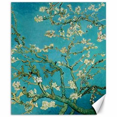 Almond Blossom  Canvas 8  X 10  by Valentinaart