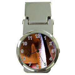 Colors And Fabrics 28 Money Clip Watches