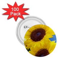 Sunflower Floral Yellow Blue Sky Flowers Photography 1 75  Buttons (100 Pack)  by yoursparklingshop