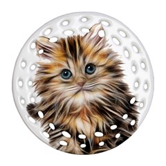Kitten Mammal Animal Young Cat Ornament (round Filigree) by Simbadda