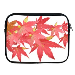 Leaves Maple Branch Autumn Fall Apple Ipad 2/3/4 Zipper Cases by Sapixe
