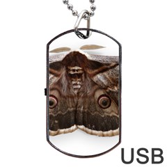 Night Butterfly Butterfly Giant Dog Tag Usb Flash (two Sides) by Sapixe
