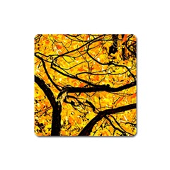 Golden Vein Square Magnet by FunnyCow