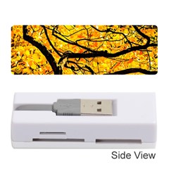 Golden Vein Memory Card Reader (stick)  by FunnyCow