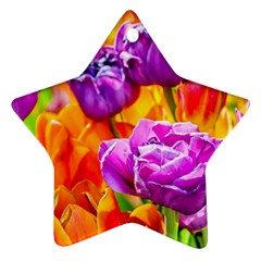 Tulip Flowers Ornament (star) by FunnyCow